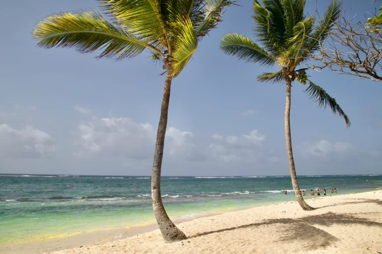 Quand partir en Guadeloupe ?